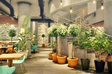 Standard Post with Gallery